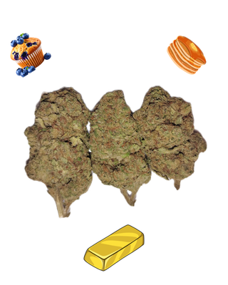 Blueberry Pancakes-Gold Tier-THCa(Indica)