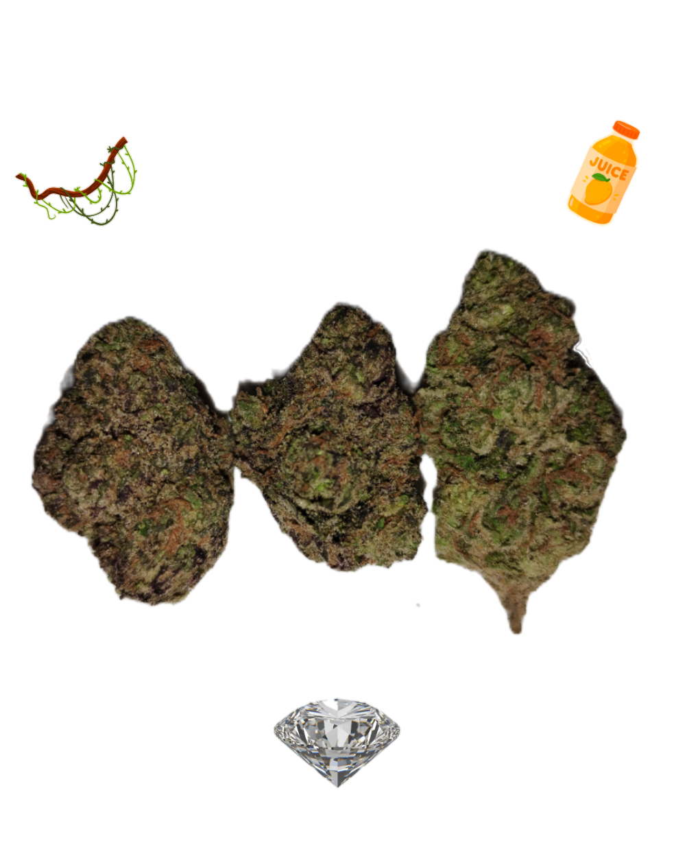 Jungle Juice-Diamond Tier-THCa(Hybrid)