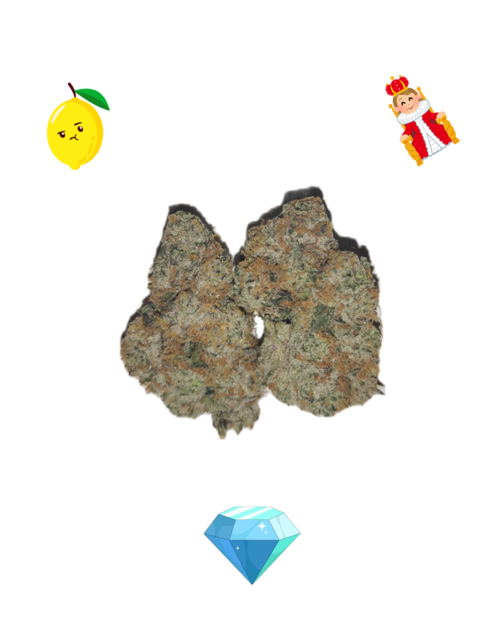 Sour Queen -Diamond tier-THCa-Sativa