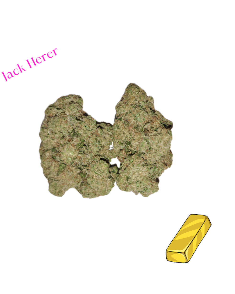 Jack Herer-Gold Tier-THCa(Sativa)