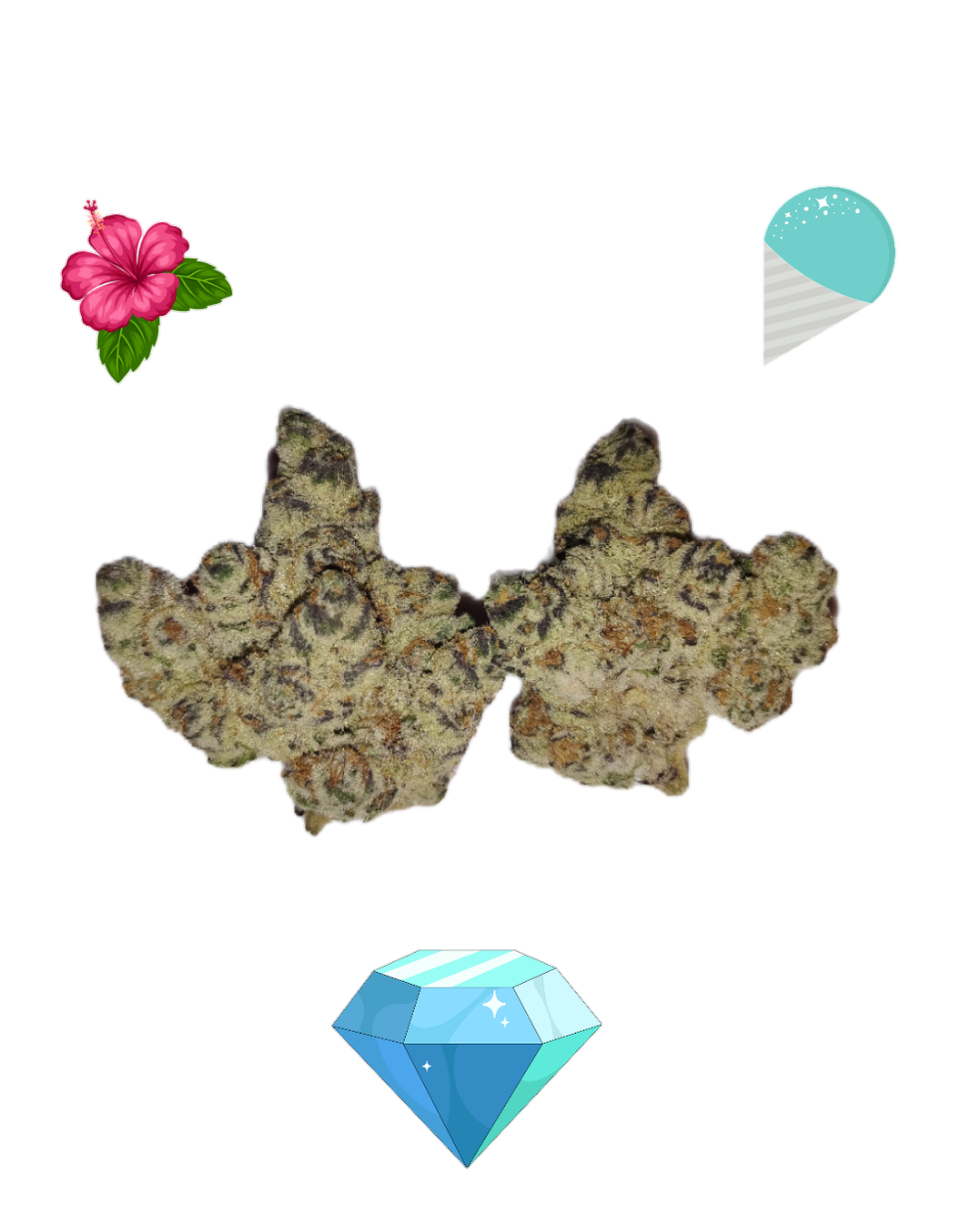Hawaiian SnowCone-Diamond Tier-Hybrid