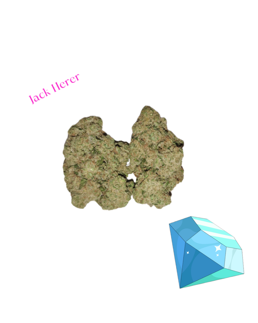 Jack Herer-Diamond Tier -THCa(Sativa)