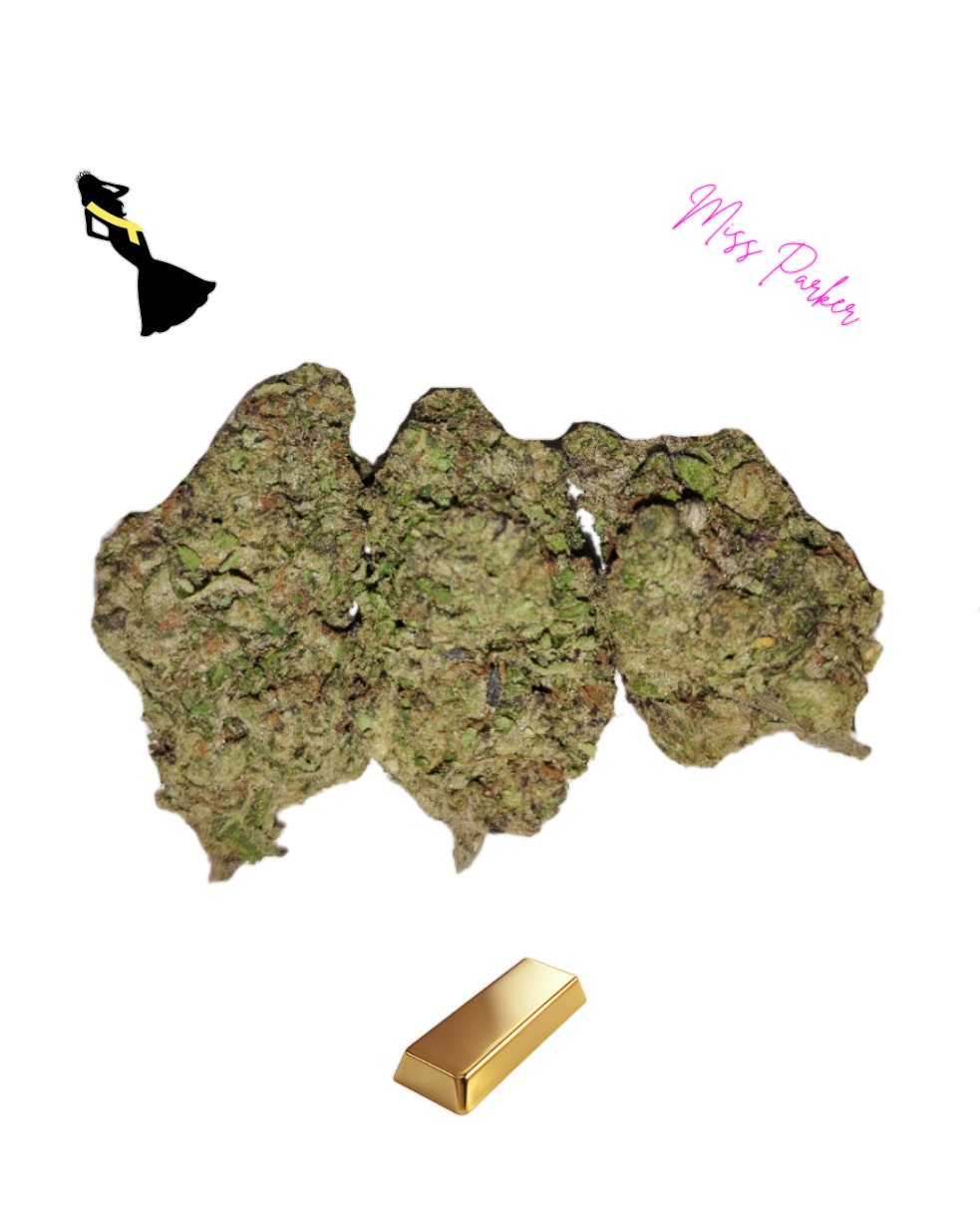 Miss Parker- Gold Tier-THCa- Hybrid