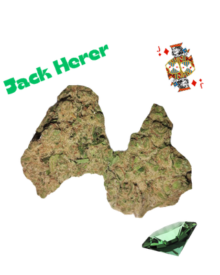 Jack Herer- Diamond Tier -THCa- Sativa
