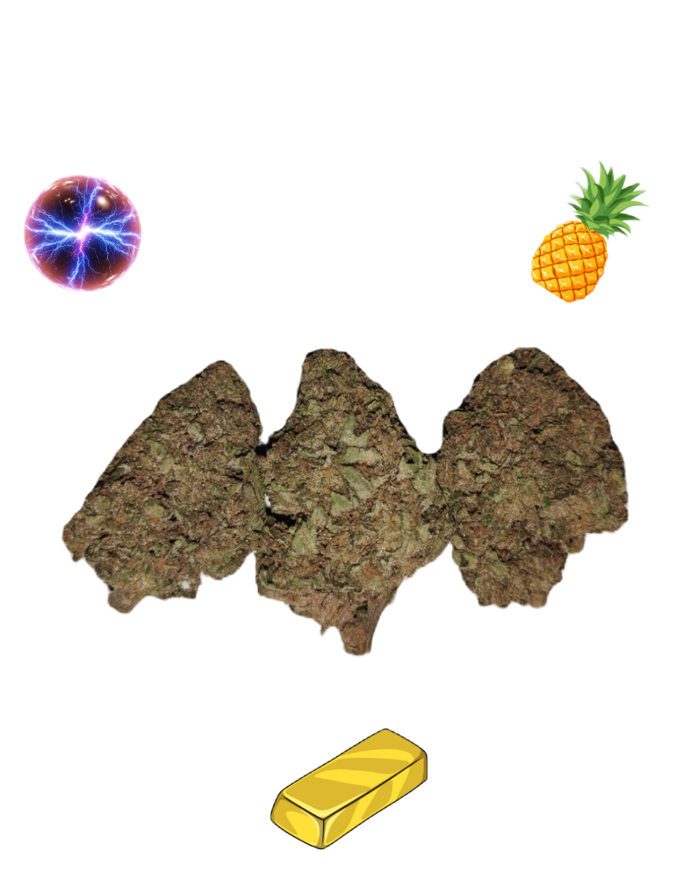 Plasma Pineapple-Gold Tier-THCa(Hybrid-S)