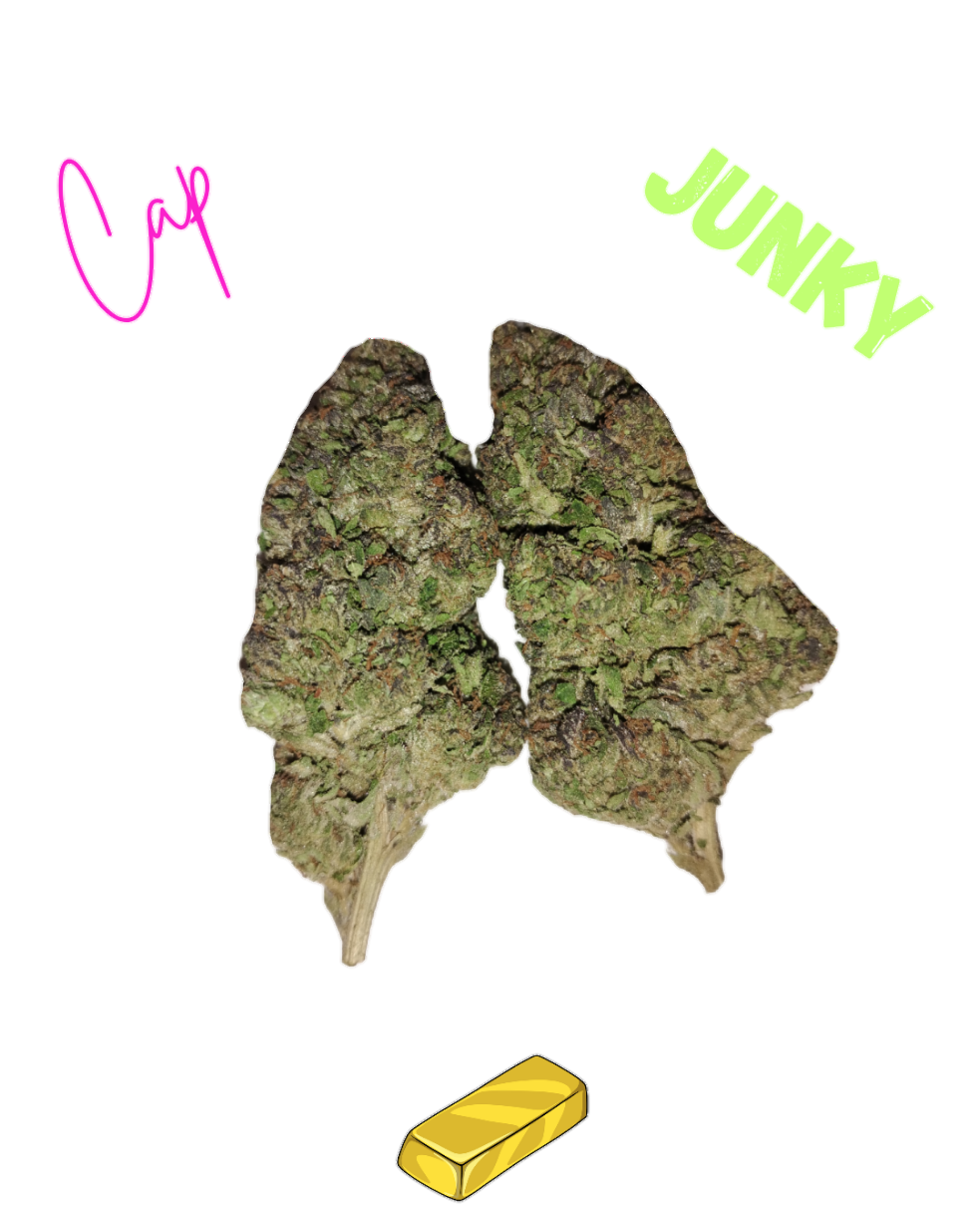 Cap Junky-Gold Tier-THCa-(Hybrid)Street Special