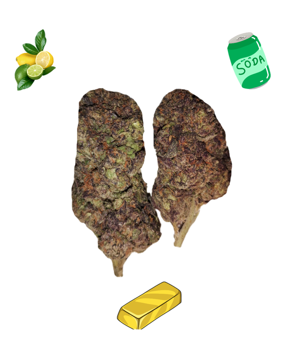 Lemon Lime Soda-Gold Tier-THCa-Sativa