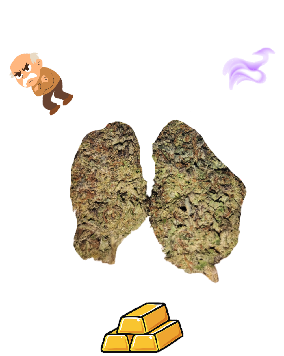 Grand Daddy Purp-Gold Tier-THCa(Indica)