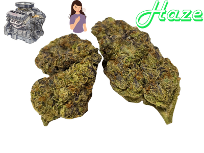 Motorbreath Haze- Gold Tier- THCa- Sativa