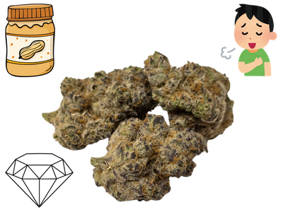 Peanut Butter Breath- Diamond Tier- THCa- Hybrid