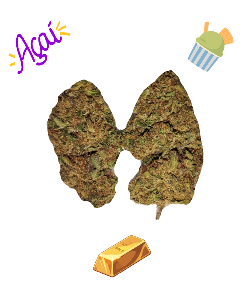 Acai Gelato-Gold Tier-THCa(S)