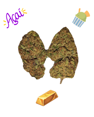 Acai Gelato-Gold Tier-THCa(S)