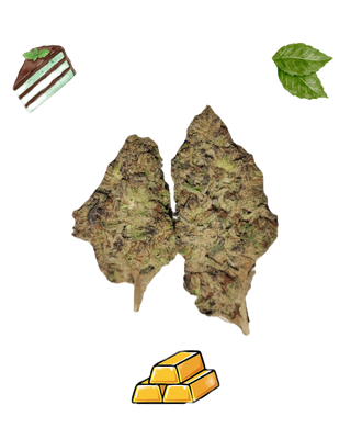 Mint Tao-Gold Tier-THCa(Hybrid)