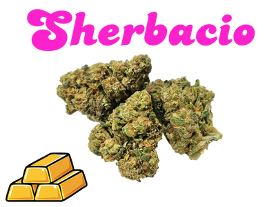 *NEW*Sherbacio- Gold Tier- THCa- Sativa