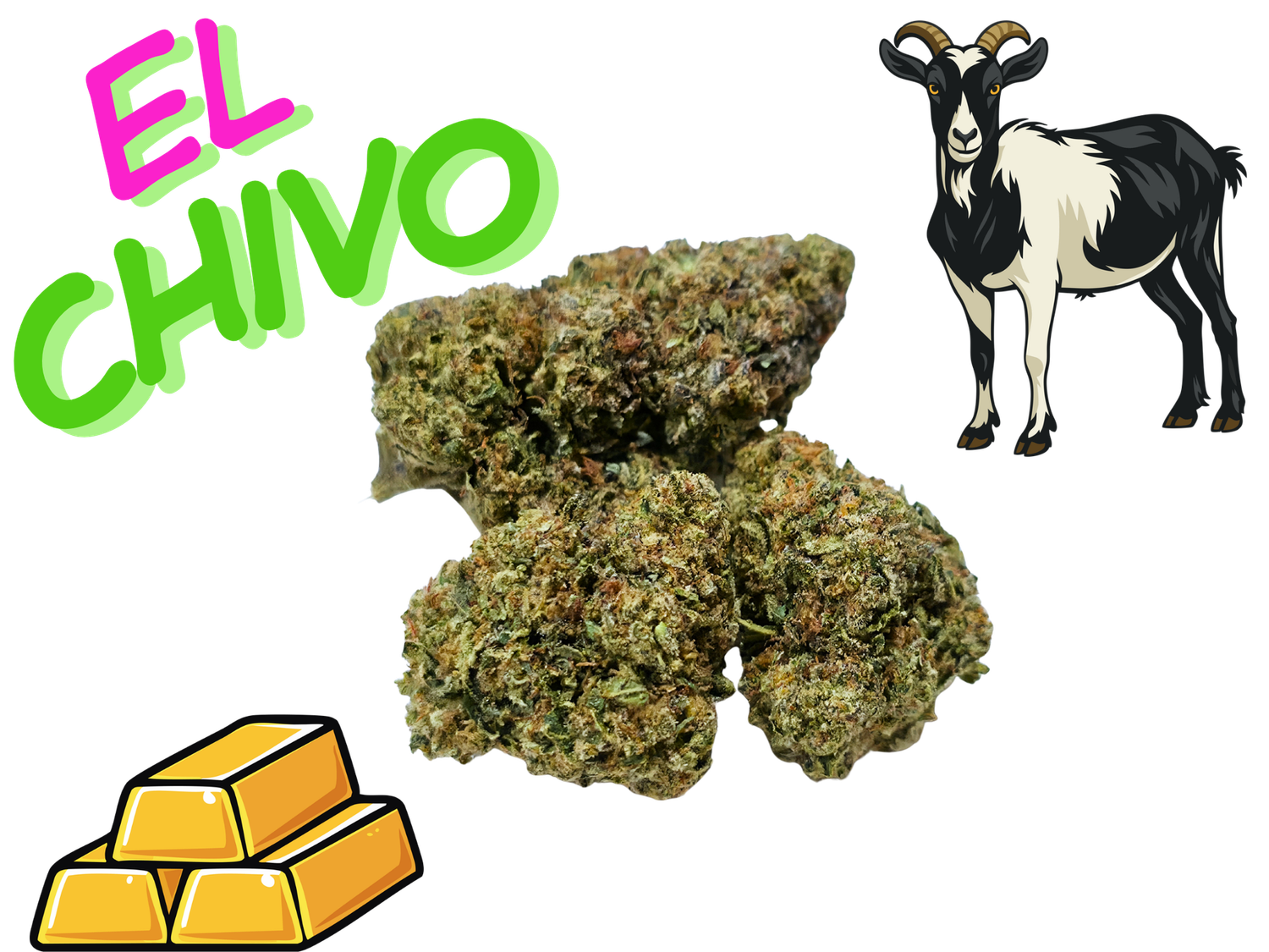 El Chivo- Gold Tier- THCa- Indica
