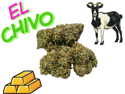 *NEW*El Chivo- Gold Tier- THCa- Indica