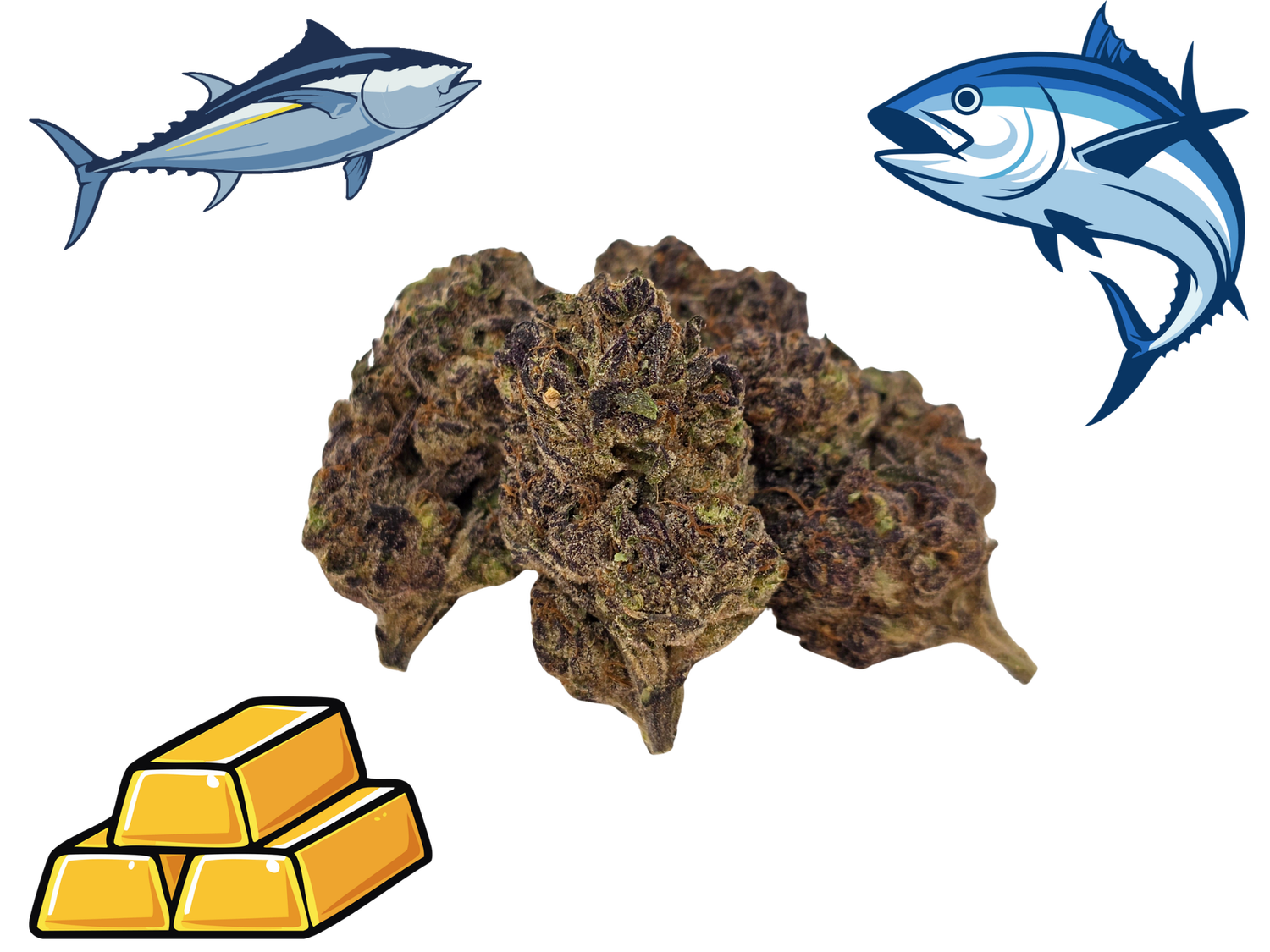 *NEW*Blue Fin Tuna- Gold Tier-THCa- Sativa