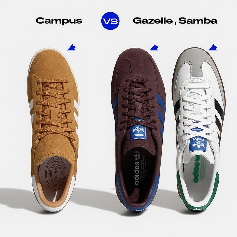 Campus vs Samba, Gazelle