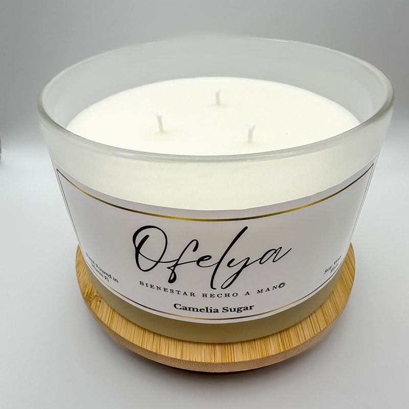 Artisan Candle | Soy Wax |  21 oz