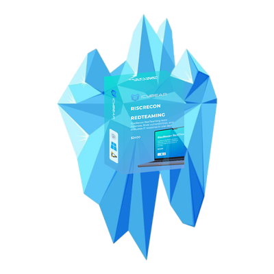 RiskRecon Security Test
