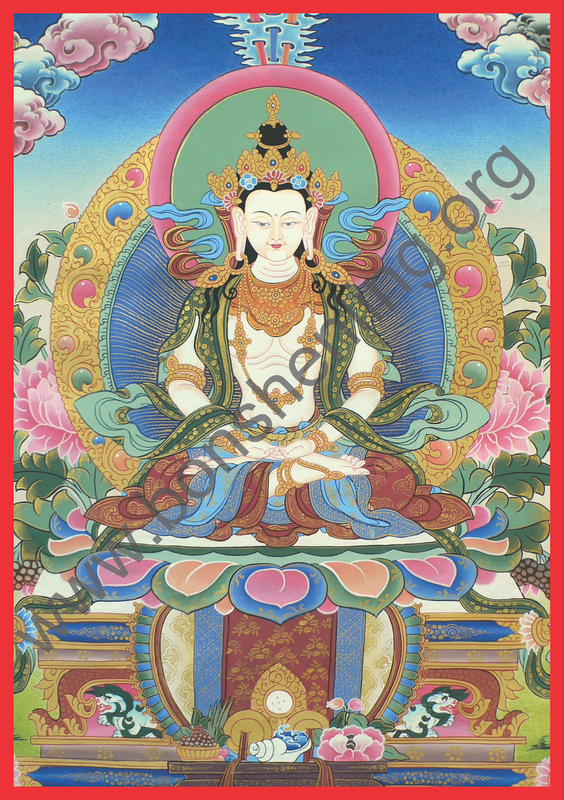 Shenlha Woekar Poster Card