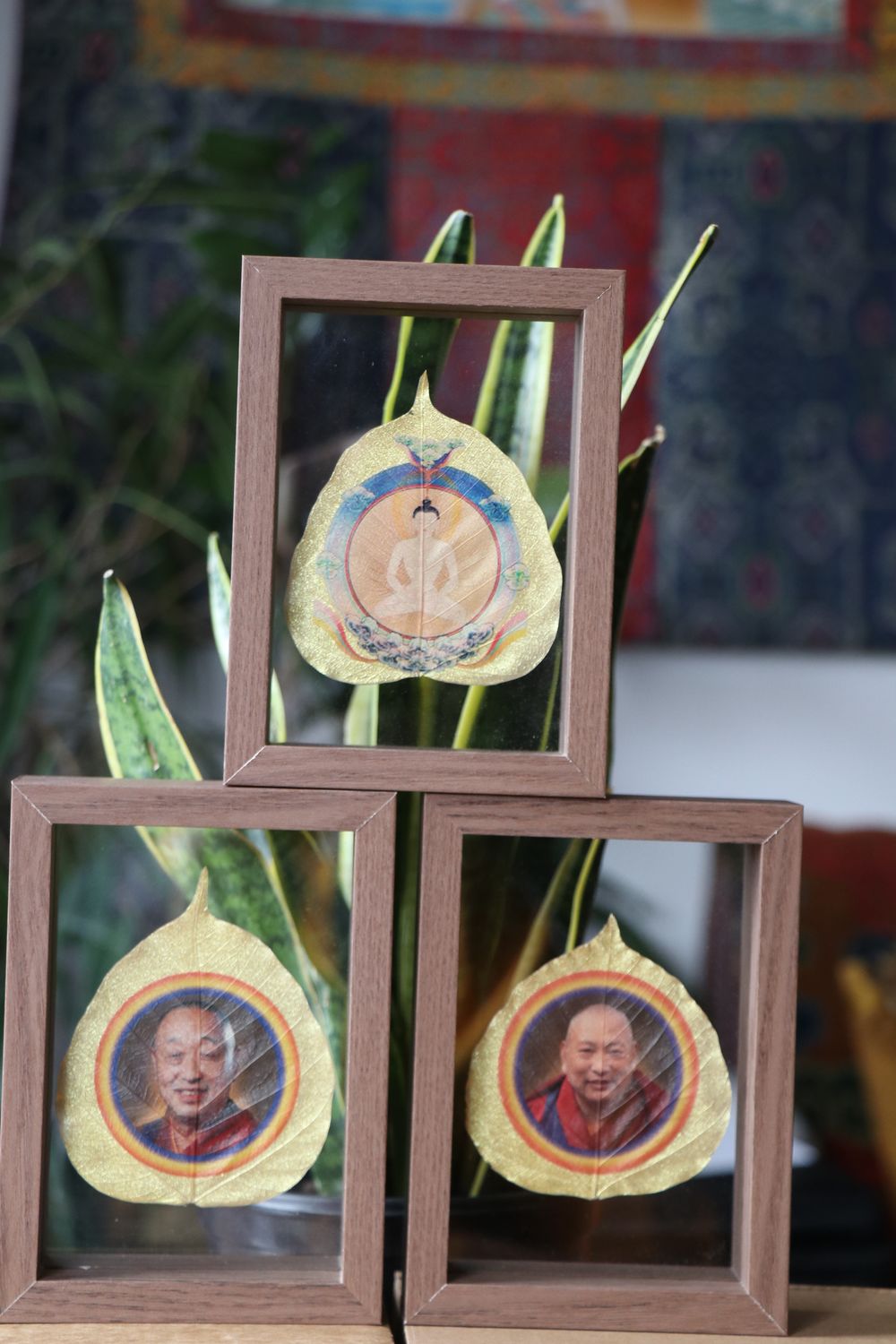 Kundhu Sangpo, 33rd Menri Trizin And 34th Menri Trizin Frame