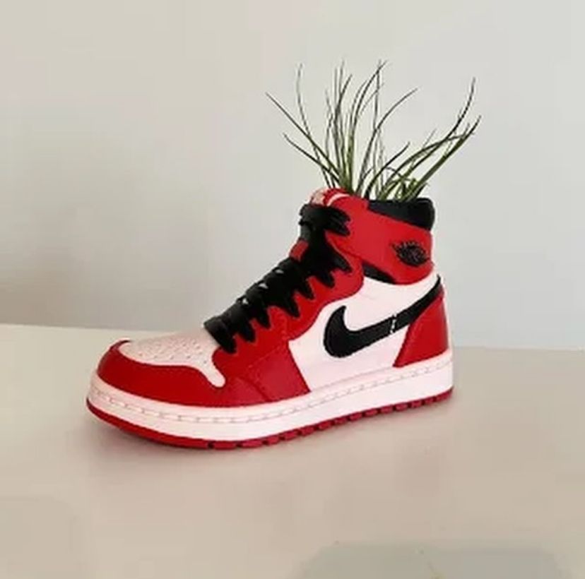 Air Jordan 1 planter