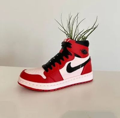 Air Jordan 1 planter