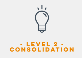 The Complete Consult Course - Clinical Reasoning + Rx Planning Mastery (Level 2 - Consolidation)