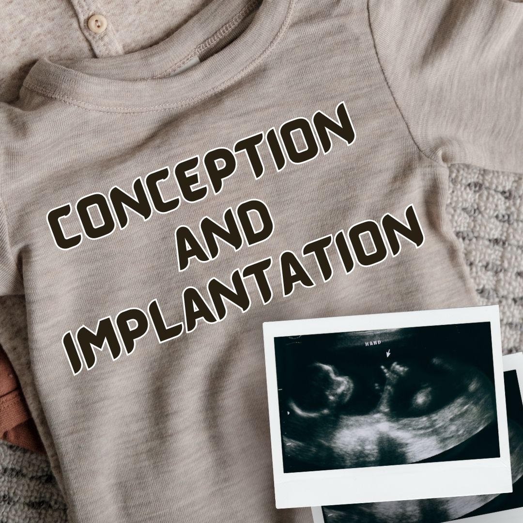 Conception and implantation (Audio)