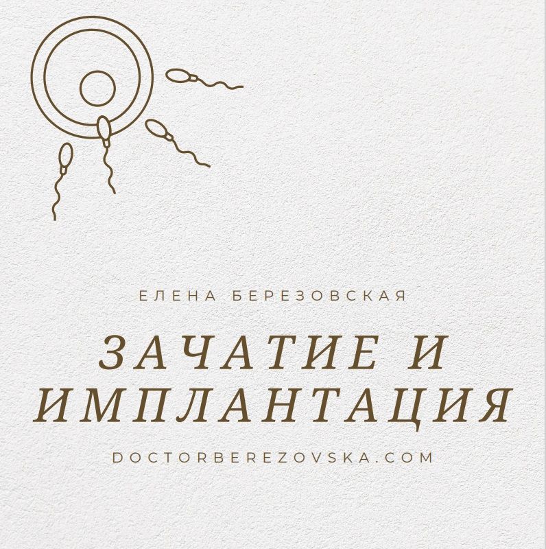 Зачатие и имплантация