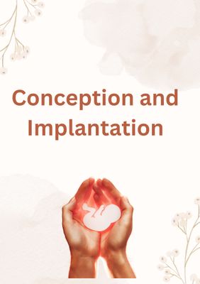 Conception and Implantation