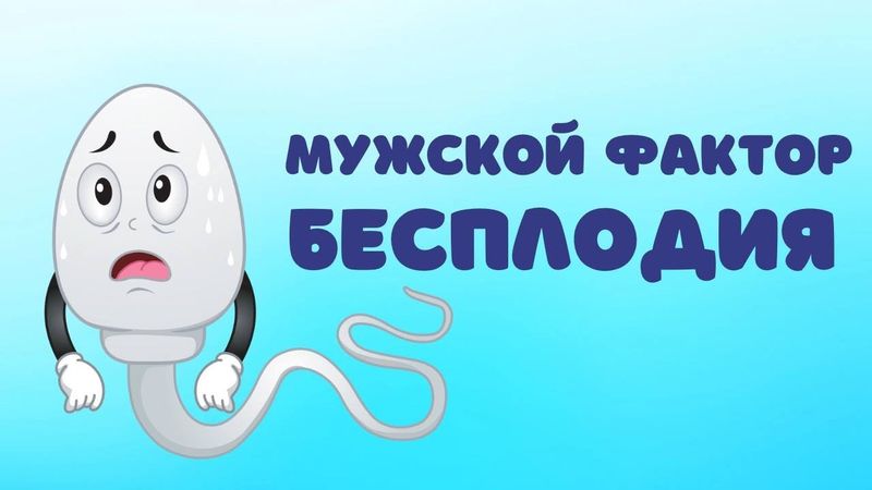 Мужской фактор бесплодия (АУДИО)