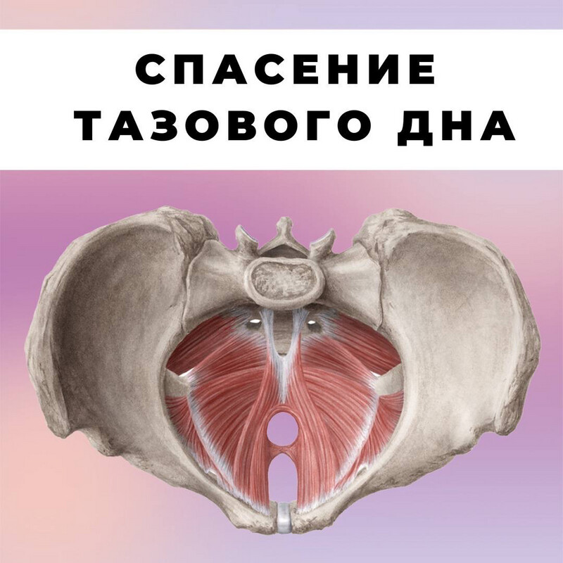 Онлайн курс «Спасение тазового дна»
