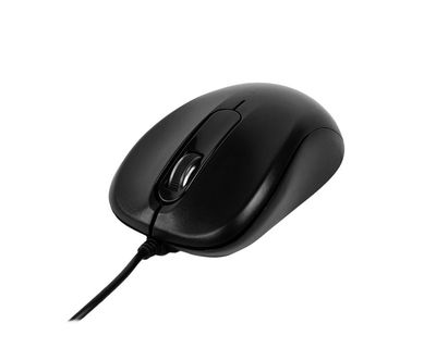 Ratón