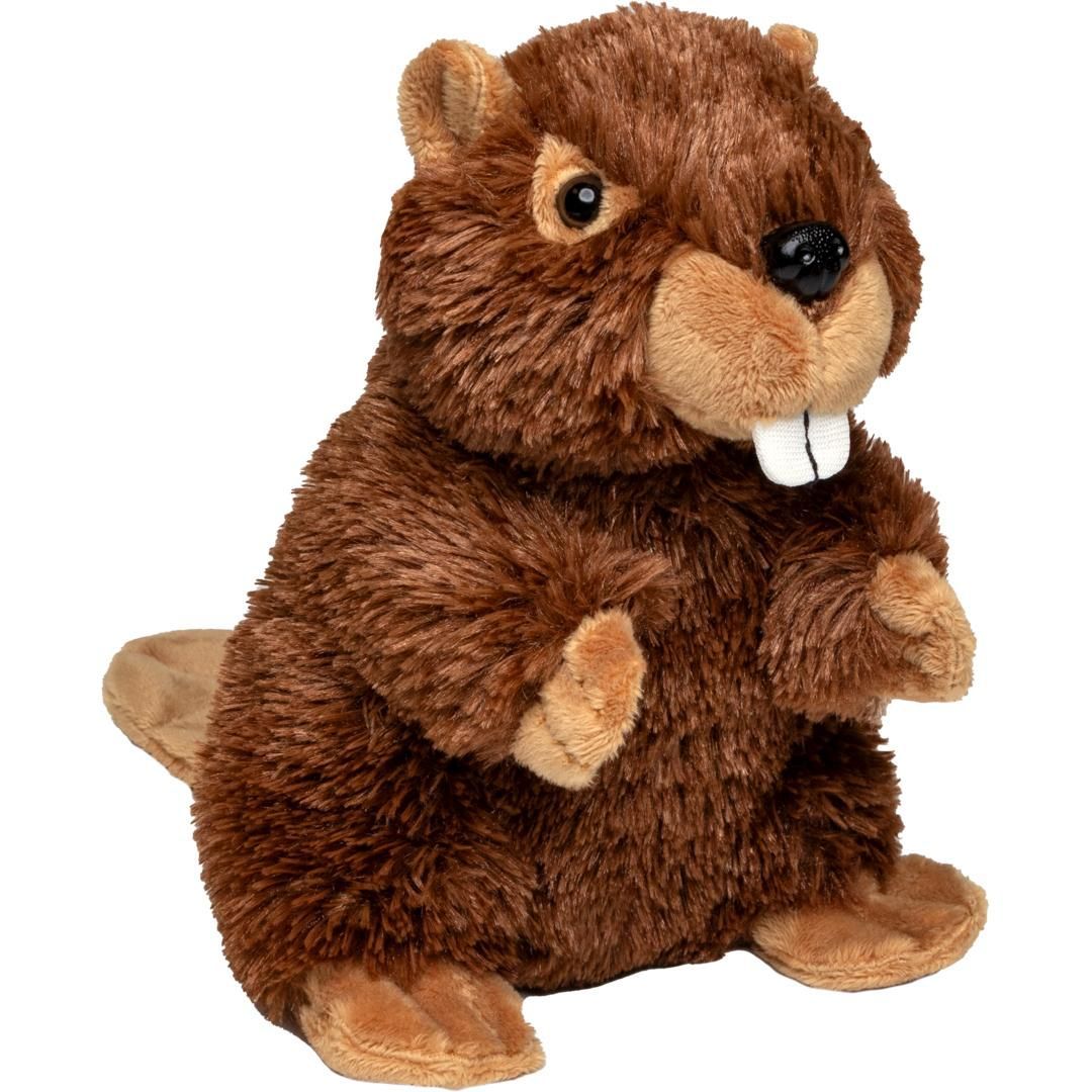 Peluche Castoro 17,50 cm