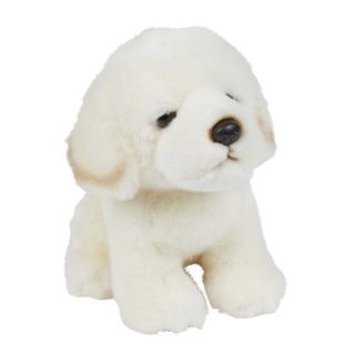 Peluche Cane Golden labrador 18 cm