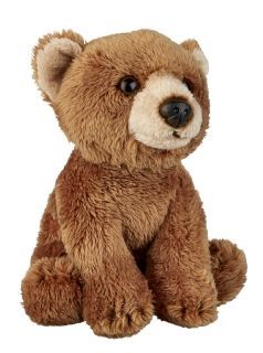 Peluche Orso 15  cm