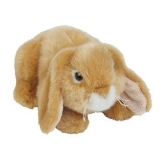 Peluche Coniglio 18 cm