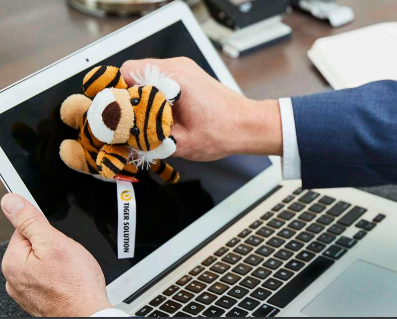 Peluche Vari e accessori