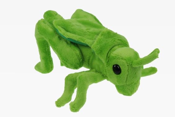 Peluche cavalletta 22 cm Peluche cavalletta 22 cm