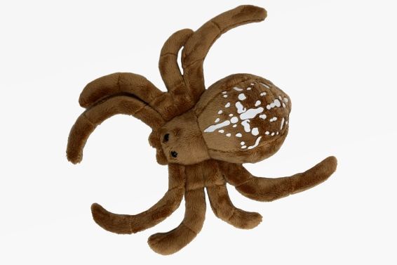 Peluche ragno crociato 24 cm Peluche ragno crociato 24 cm