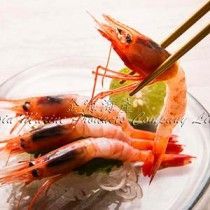 推薦產品 Recommend
