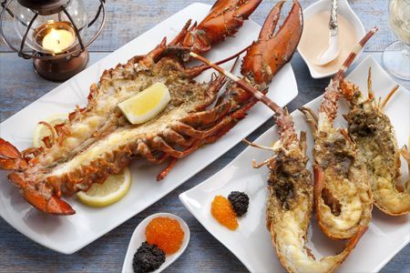 龍蝦 Live Boston Lobster