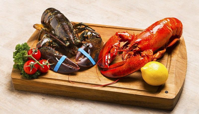 活波士頓龍蝦 Live Boston Lobster 1-1.25磅 (每磅)