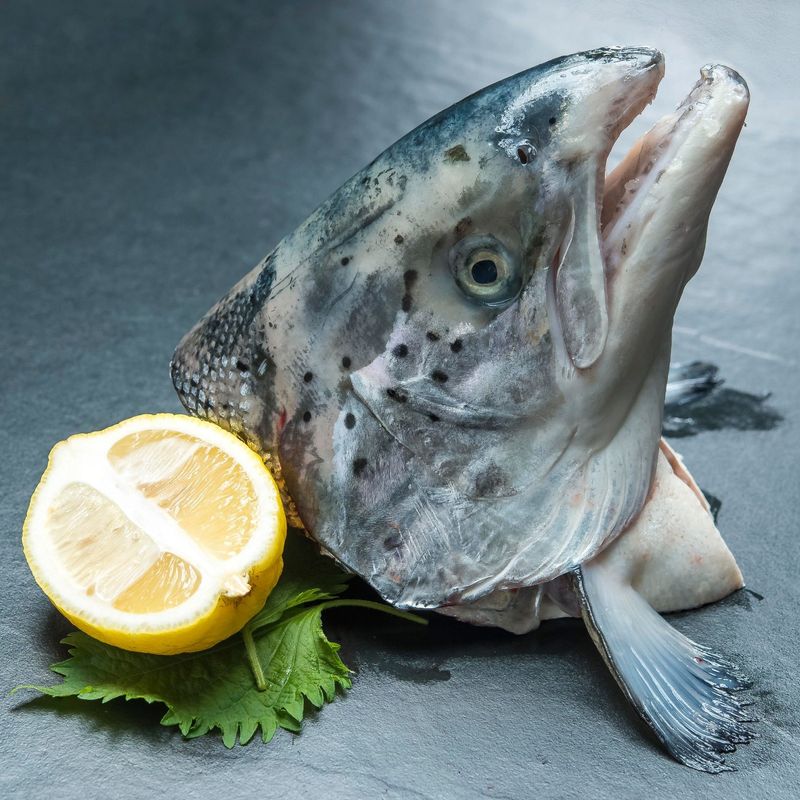 挪威三文魚頭 Frozen Norwegian Salmon Head (每個)