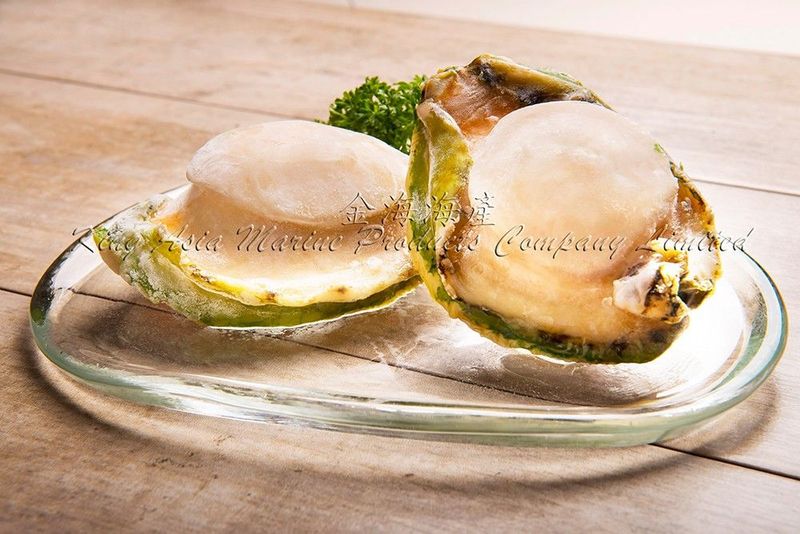 澳洲青邊鮑魚 2-3頭 Australian Green-lip Abalone (每磅)