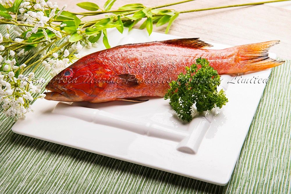 菲律賓原條星斑 Philippine Grouper (每磅)