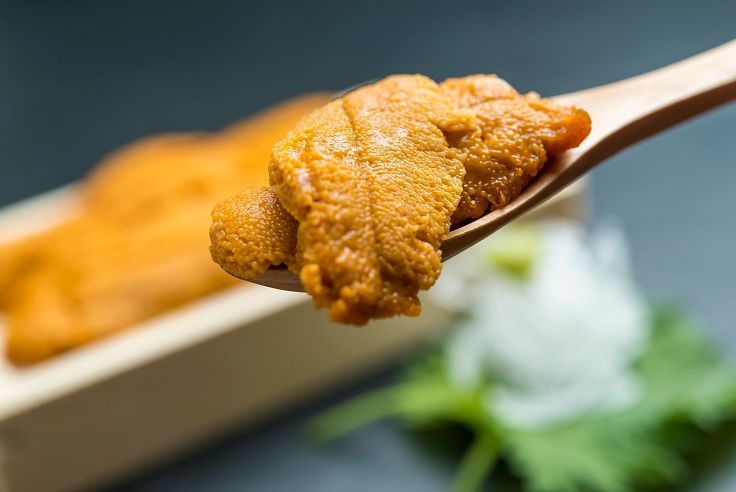 加拿大海膽-膠板 Canadian Sea Urchin-Tray (每板)