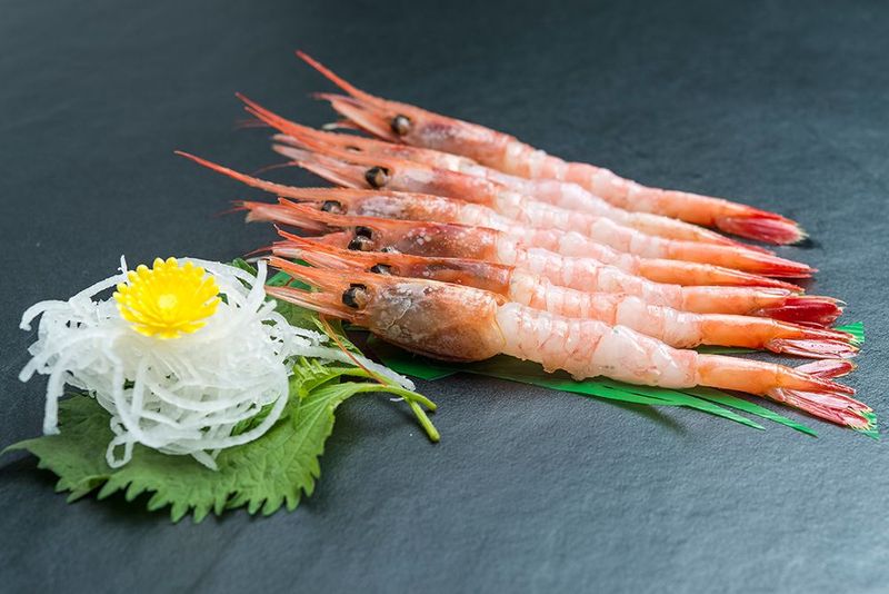 俄羅斯甜蝦刺身 Russian Sweet Shirmp Sashimi (每份8隻)